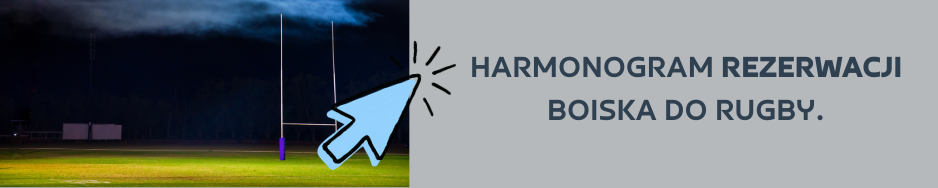 harmonogram rezerwacji boiska BA.png