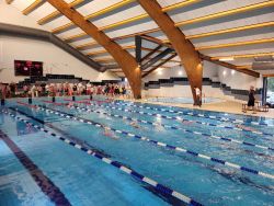 Amatorskie i Otwarte Mistrzostwa Rudy Śląskiej w Pływaniu - Wyniki.