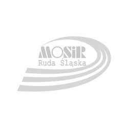 Liga Rudzkich Orlików- Wyniki