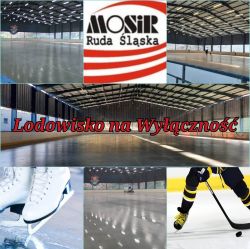 Lodowisko - Burloch Arena.