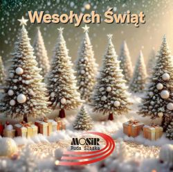 Wspaniałych i Radosnych Świąt Bożego Narodzenia.