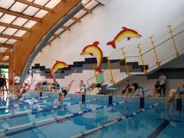 X Mistrzostwa Rudy Śląskiej w Pływaniu - 2009