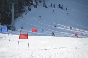 XV Mistrzostwa Rudy Śląskiej w Narciarstwie Alpejskim